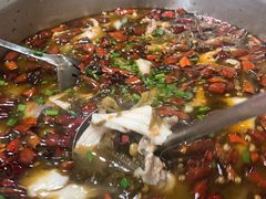 -陈有良尖椒鸡(渝中示范店)