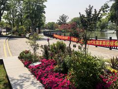 -上海长兴岛郊野公园