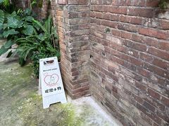-嘁嘁茶泡饭