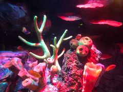 -沈阳海洋探索中心