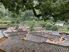 -杨家堂村