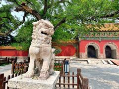 -沈阳市东陵公园