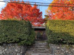 -醍醐寺