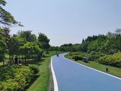 -宜兴龙背山森林公园