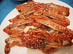 -御唐府海珊瑚主题餐厅