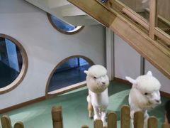 -藦茜花园宠物主题亲子互动体验馆(国顺东路店)