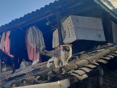 -小厨子私房菜·云南美食店