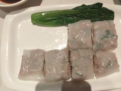 -南枝记