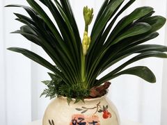 -F.Story 花和故事(新天地店)