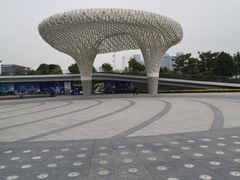 -宝安西湾红树林湿地公园