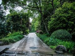 -野蔓果·山野菜(西湖景区·龙井茶田店)