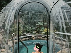 -水王国温泉水世界