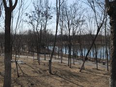 -大兴滨河森林公园