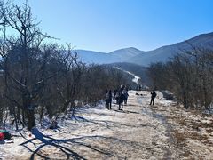 -安吉龙王山风景区