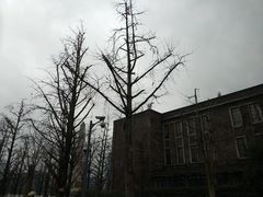 -百林公园-两江幸福广场