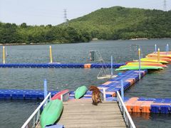 -宁波九龙湖开元度假村