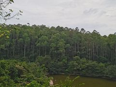 -水濂山森林公园