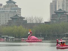 -莲花池公园