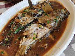 黄黑鱼-红星渔村(将军石店)