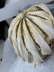 -GANO HAIR 