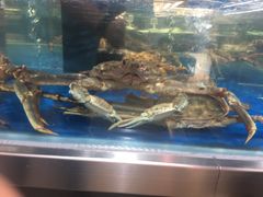 -盒马鲜生(红莲店)