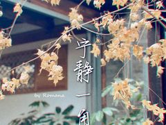 -VOYAGE COFFEE(杨梅竹店)