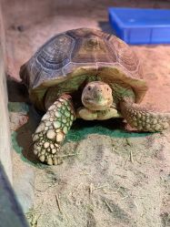 -Zoolung Zoolung动物主题公园(海信广场店)