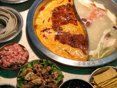 香菜丸子-电台巷火锅(静安店)