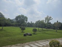 -河泥荡文化公园