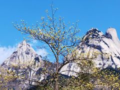 -天柱山风景区