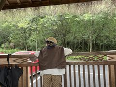 -看见远方·莫干遥远的山民宿