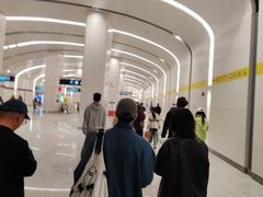 -望京西(地铁站)