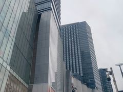 -金茂览秀城