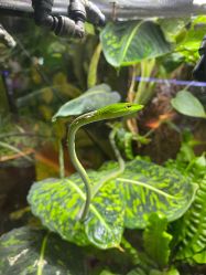 -酷嗒动物文化乐园(cutezoo西溪乐天城店)