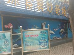 android_upload_pic-迎泽公园