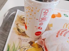 -麦当劳(衡阳中心汽车站店)