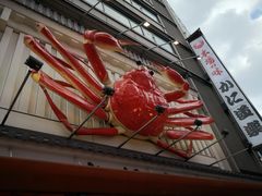 -蟹道乐(道顿堀本店)