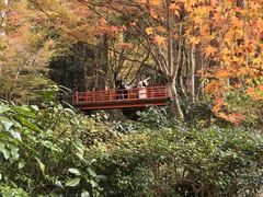 -三千院