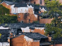 -杨家堂村