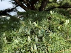 -国家植物园南园