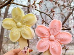 -桃花堤公园