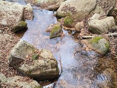 -丹东天桥沟景区