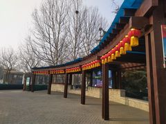 -大兴滨河森林公园