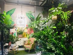 -弗劳尔花艺坊(龙涛店)