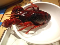 -靓靓蒸虾·头牌蒸虾(南山桂庙店)