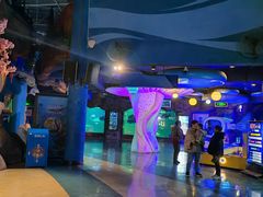 -烟台海昌鲸鲨海洋公园