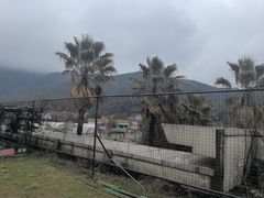 -宁波九龙湖开元度假村