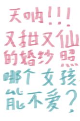 -茜茜公主婚纱摄影会馆