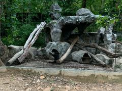 -清迈夜间动物园