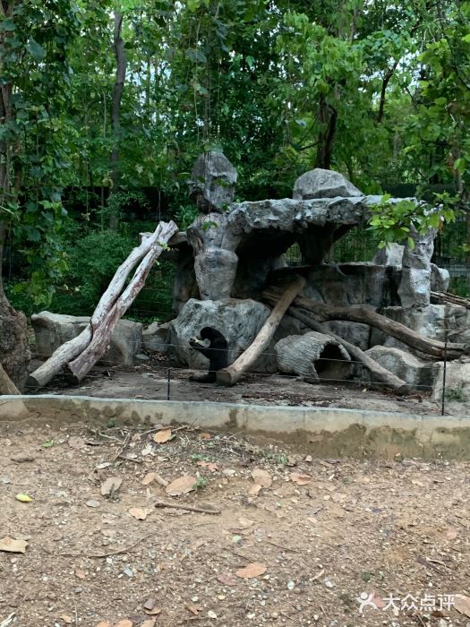 清迈夜间动物园图片